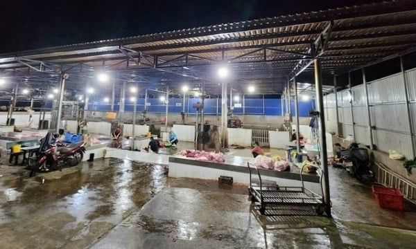 Inadequacy of slaughter facilities in Dak Lak: Investing billions, then operating moderately